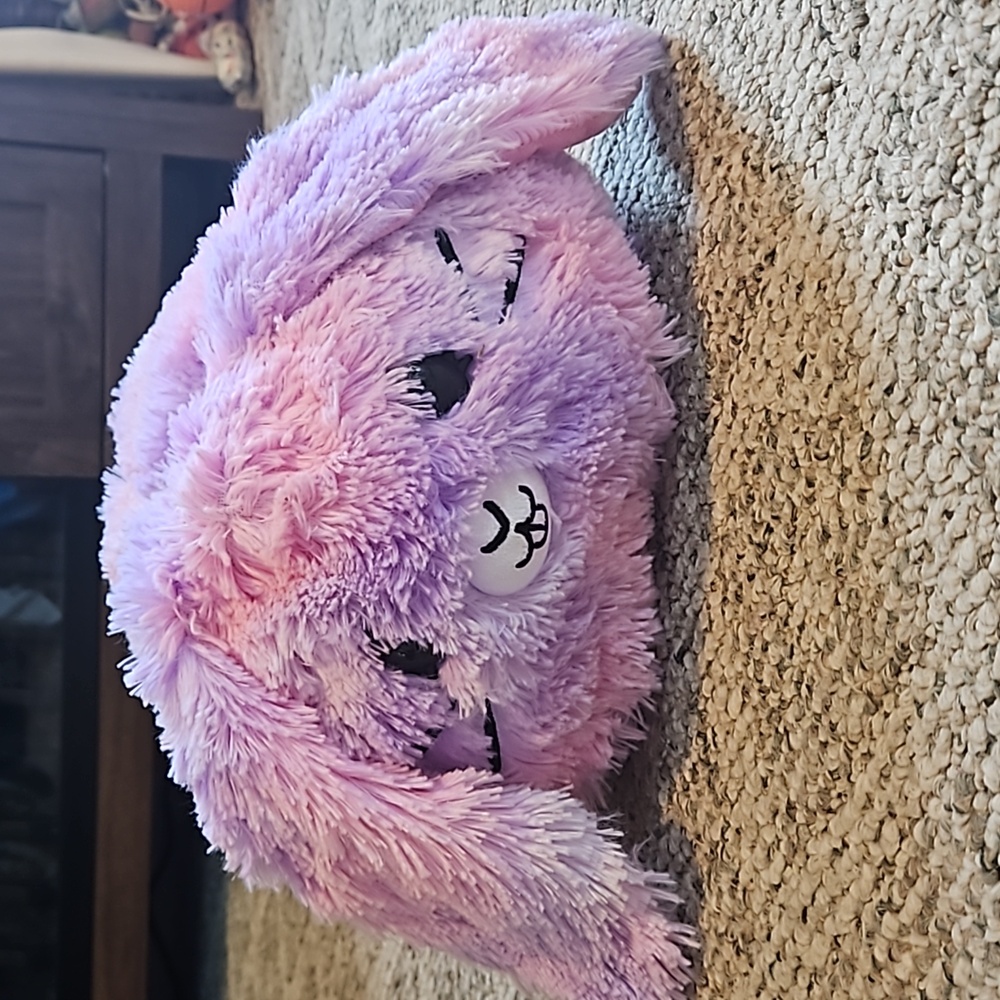 Reversible kids plush